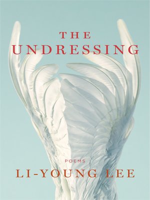 cover image of The Undressing